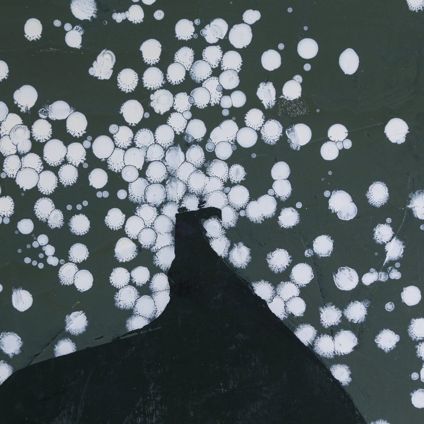 Eric Hibit. Untitled with White Dots, oil