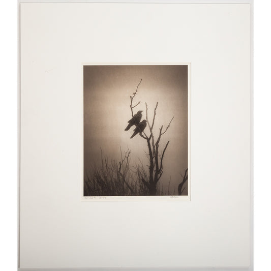 Beth Moon. "Odin's Cove #2," photograph