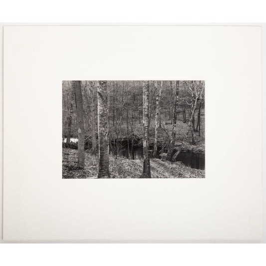 Paul Caponigro. Woods & Stream, photograph