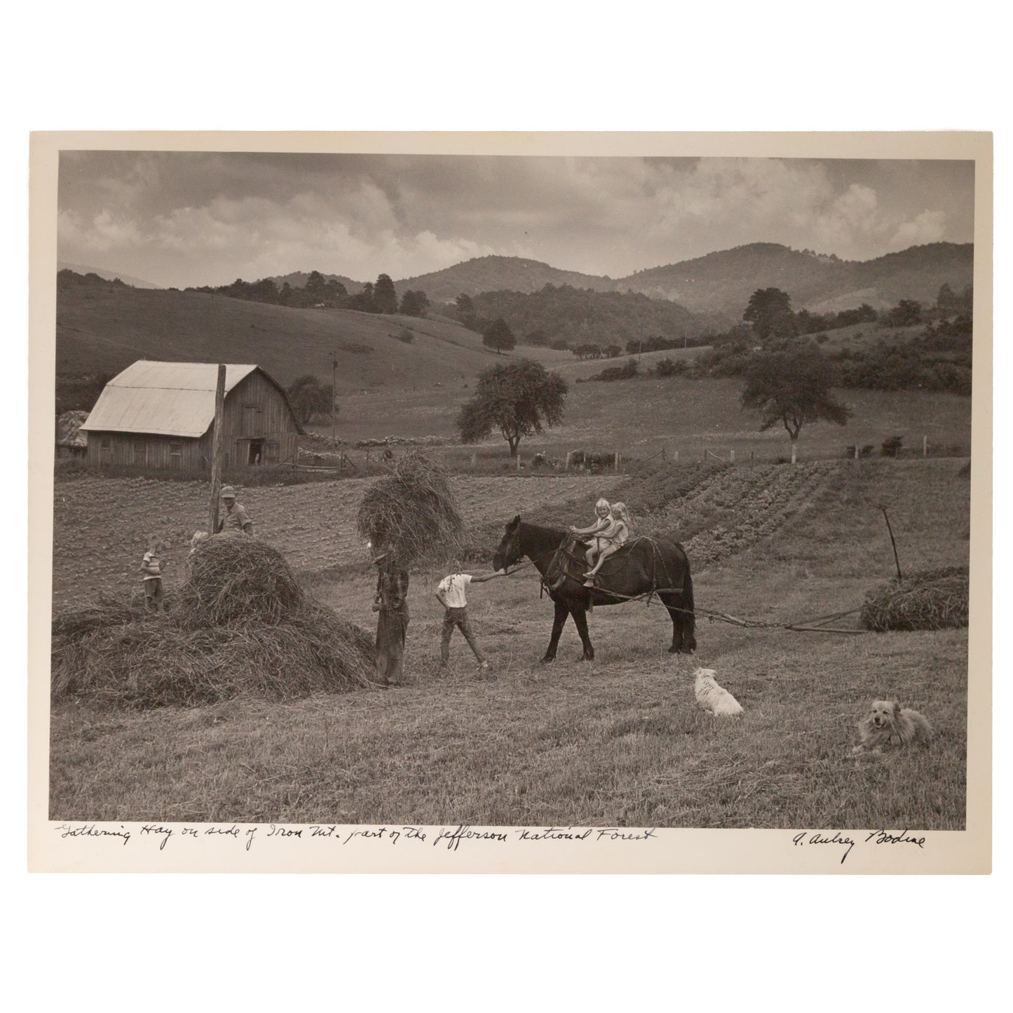 A. Aubrey Bodine. "Gathering Hay on Side of Iron Mt, Part of the Jefferson National Forest," photograph