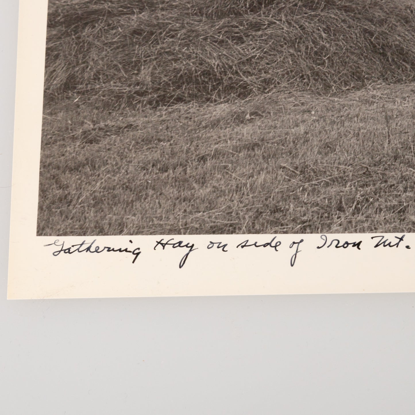 A. Aubrey Bodine. "Gathering Hay on Side of Iron Mt, Part of the Jefferson National Forest," photograph