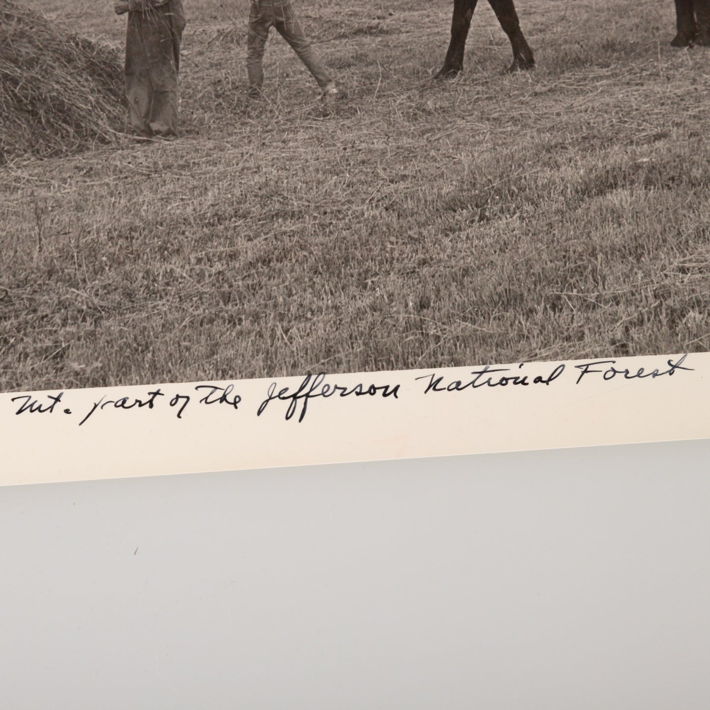 A. Aubrey Bodine. "Gathering Hay on Side of Iron Mt, Part of the Jefferson National Forest," photograph