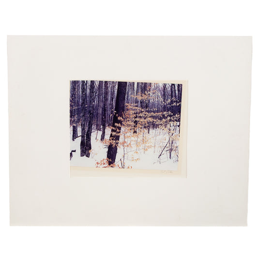 Eliot Furness Porter. Winter Snow Scene, photograph