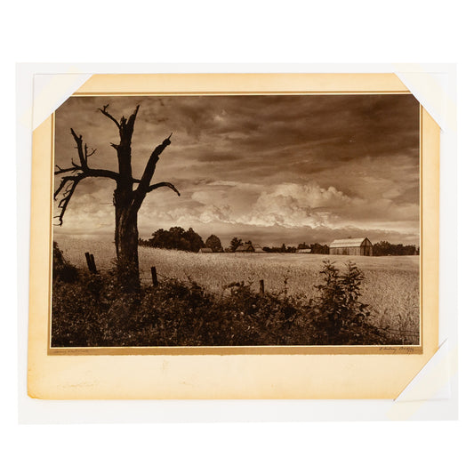 A. Aubrey Bodine. "Spring Wheat Field," photograph